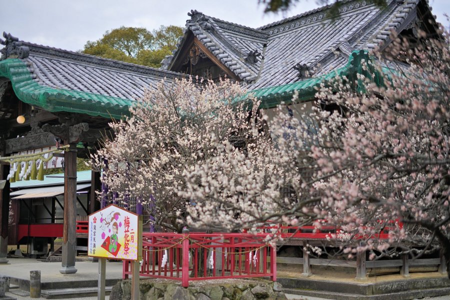 ⛩️ 폭포 신사 (타키노미야 진자) 이미지 8